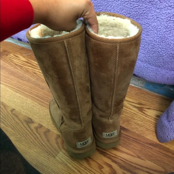 Uggs Long - Picture 1 of 2